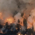 Wildfire as seen from a helicopter. 