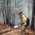 Woody operating a drip torch on a back burn. 