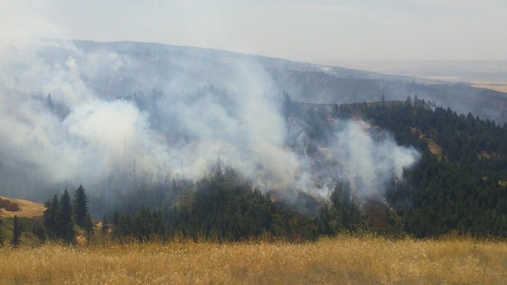 Blue Creek Fire near Walla Walla - Obadiah's Fire Fighters