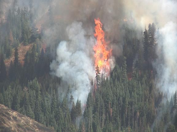 Blue Creek Fire near Walla Walla, WA - Obadiah's Wildfire Fighters