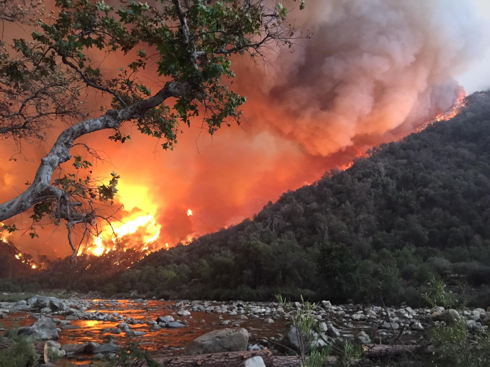 Rough Fire in California - Obadiah's Wildfire Fighters